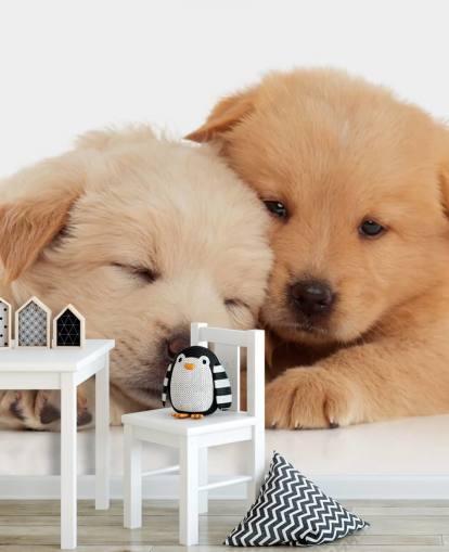 Cute Labrador Puppies Wall Mural Cute Labrador Puppies Wall Mural