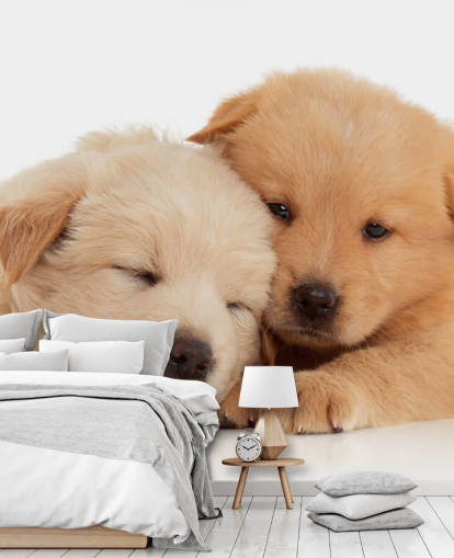 Decorazione murale con simpatici cuccioli di labrador