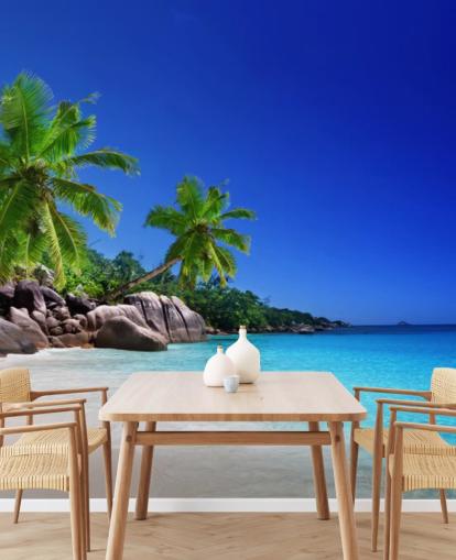 Tropical Beach Bakgrunn Tropical Beach Bakgrunn