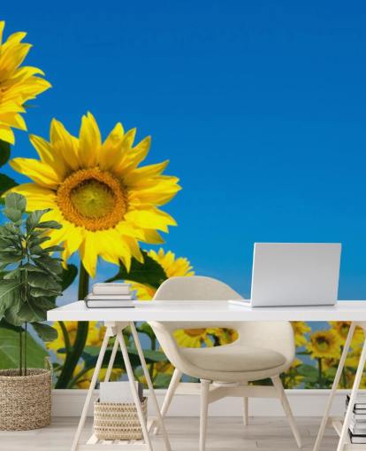 mural de papel de parede de girassol chamado Blue Sky Sunflowers para quartos, escritórios e cozinhas