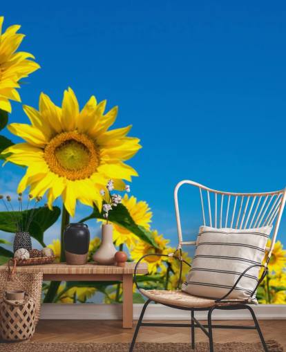 mural de papel pintado de girasoles llamado Blue Sky Sunflowers para dormitorios, oficinas y cocinas