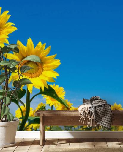 Sonnenblumentapete namens Blue Sky Sunflowers für Schlafzimmer, Büros und Küchen