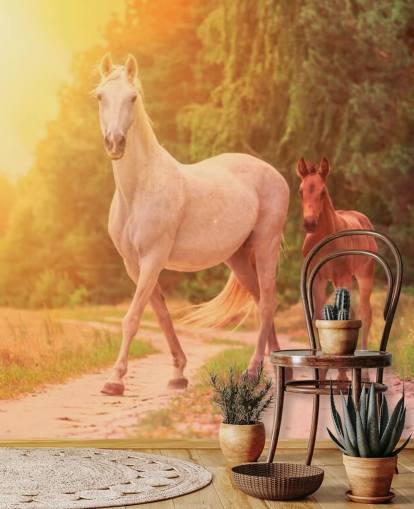 Papel de parede de cavalo mãe e filho