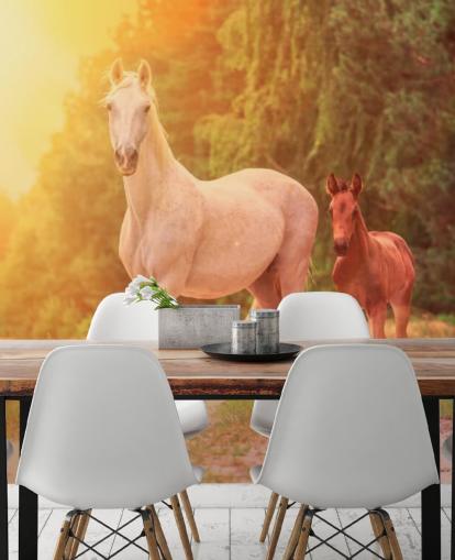 Fondo de pantalla de caballo madre e hijo