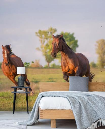 Horses Running Wallpaper