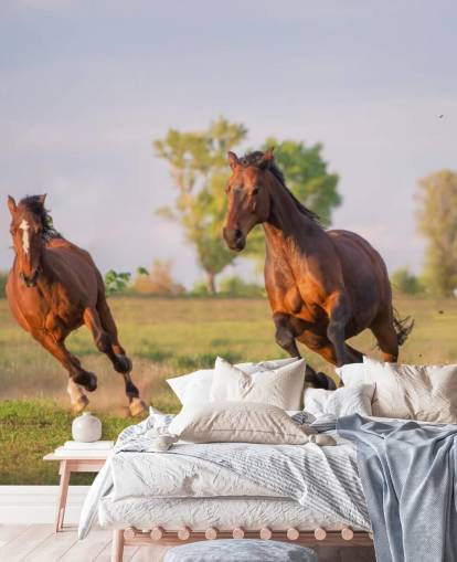 Fond d'écran Chevaux