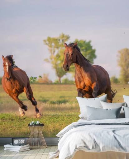 Horses Running Wallpaper Horses Running Wallpaper