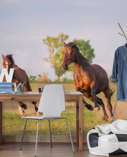 Pferde laufen Tapete Pferde laufen Tapete