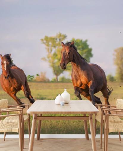 Horses Running Wallpaper Horses Running Wallpaper
