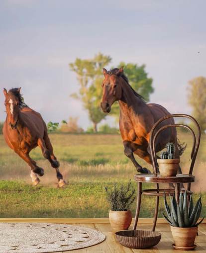 Horses Running Wallpaper