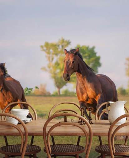 Fondo de pantalla de caballos