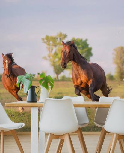 Horses Running Wallpaper
