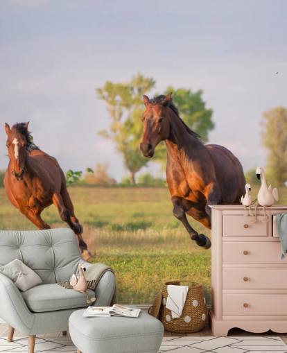 Fondo de pantalla de caballos