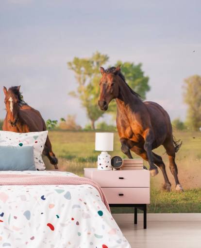 Fond d'écran Chevaux Fond d'écran Chevaux