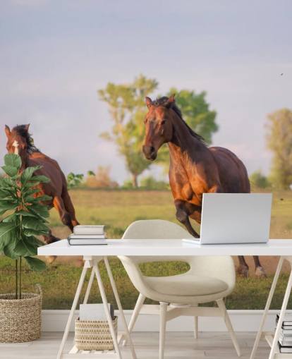 Fond d'écran Chevaux