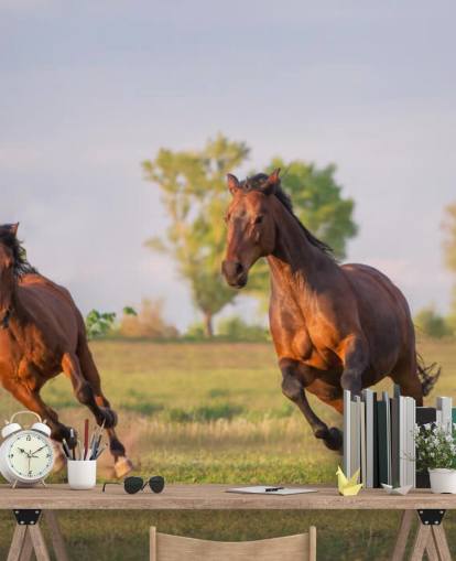 Horses Running Wallpaper