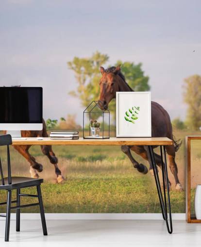 Horses Running Wallpaper Horses Running Wallpaper