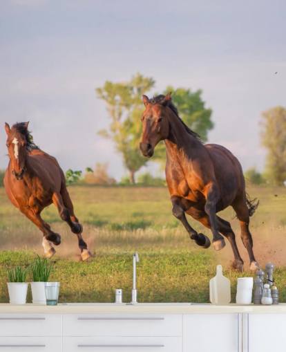 Horses Running Wallpaper Horses Running Wallpaper