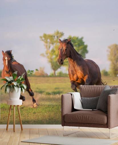 Fondo de pantalla de caballos