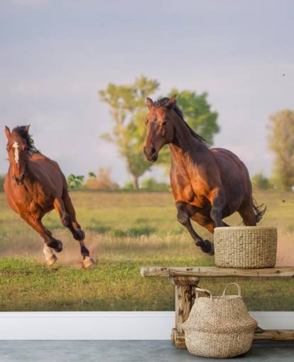 Fondo de pantalla de caballos