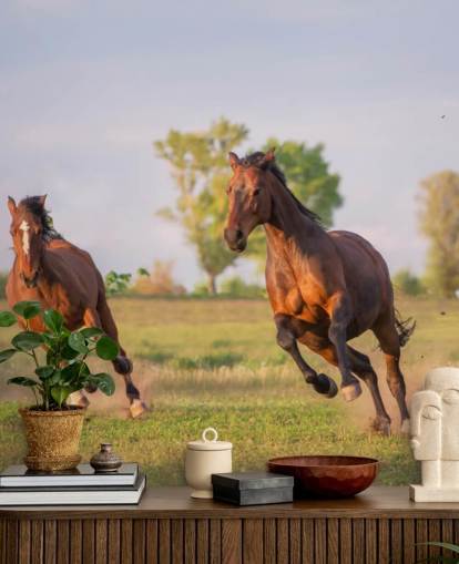 Horses Running Wallpaper