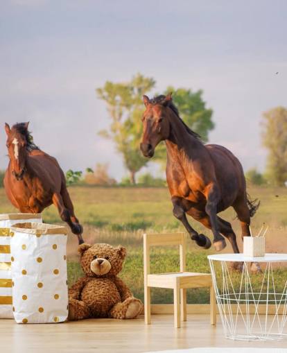 Fondo de pantalla de caballos