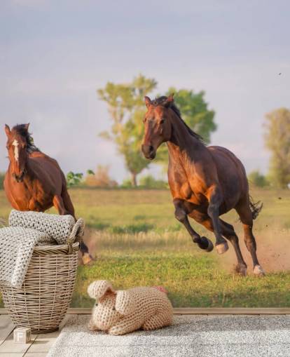 Cavalos Running Wallpaper Cavalos Running Wallpaper