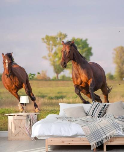 Fond d'écran Chevaux