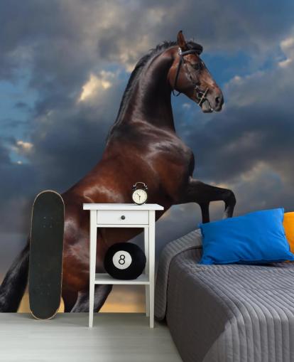 Dark Brown Horse Bucking Wall Mural