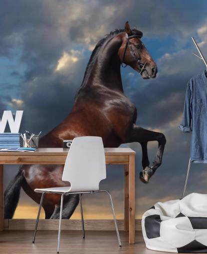 Dark Brown Horse Bucking Wall Mural Dark Brown Horse Bucking Wall Mural