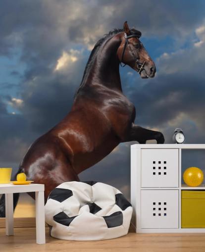 Donkerbruine Horse Bucking Muurschildering