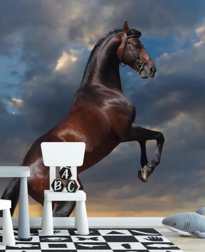 Dark Brown Horse Bucking Wall Mural Dark Brown Horse Bucking Wall Mural