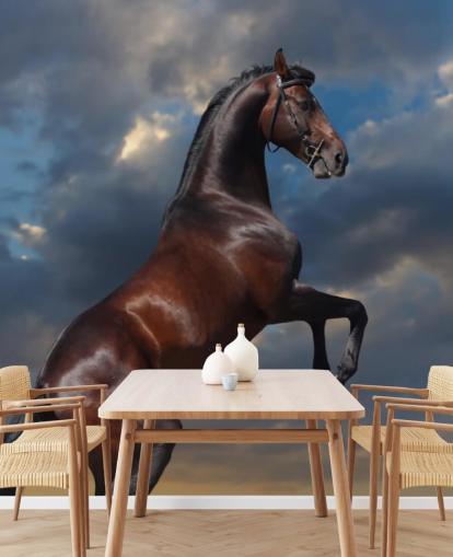 Dark Brown Horse Bucking Wall Mural Dark Brown Horse Bucking Wall Mural