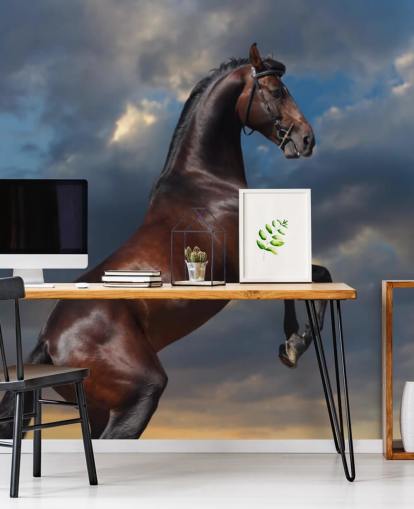 Dark Brown Horse Bucking Wall Mural Dark Brown Horse Bucking Wall Mural