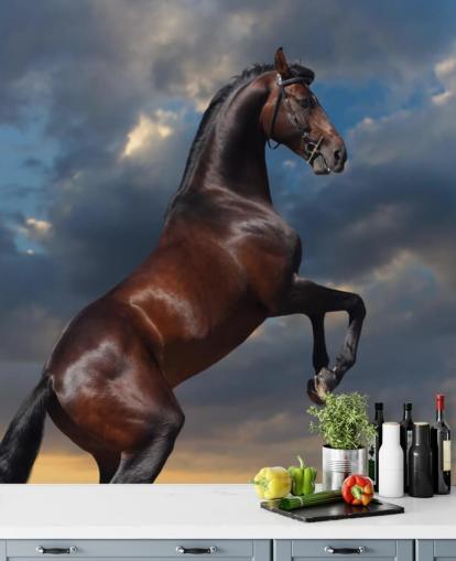 Mural de pared Caballo cortando marrón oscuro