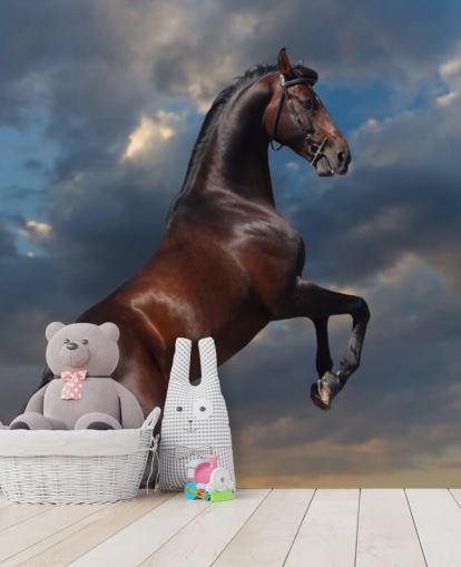 Dark Brown Horse Bucking Wall Mural