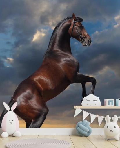 Dark Brown Horse Bucking Wall Mural