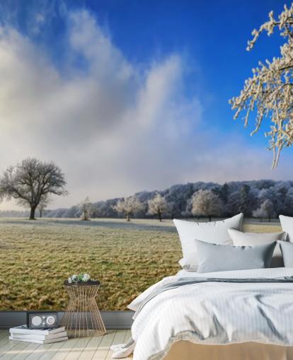frosty field with white trees wallpaper frosty field with white trees wallpaper