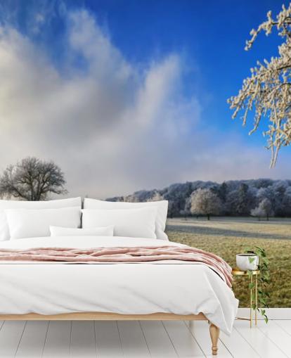 frosty field with white trees wallpaper