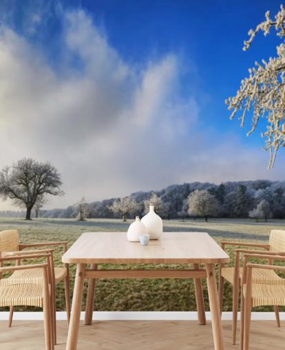 frosty field with white trees wallpaper