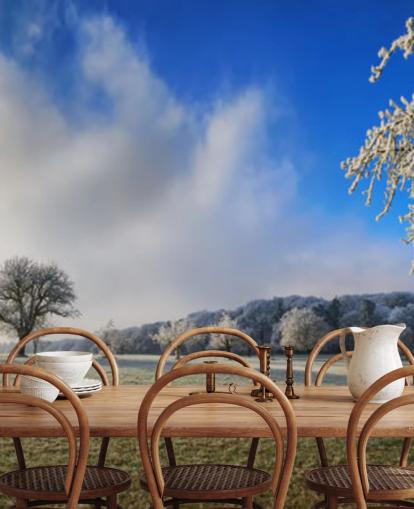 frosty field with white trees wallpaper