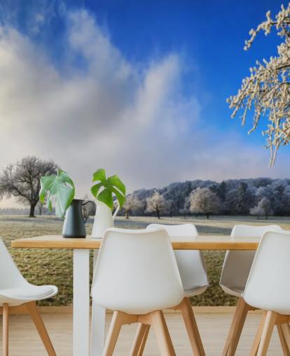 fondo de pantalla de campo escarchado con árboles blancos