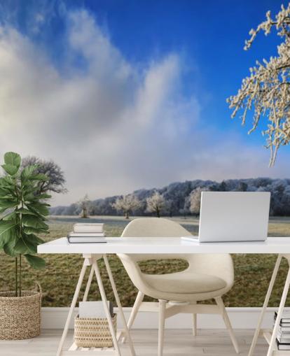 fond d'écran champ givré avec des arbres blancs