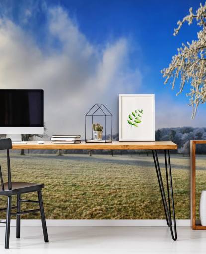 campo gelado com papel de parede de árvores brancas