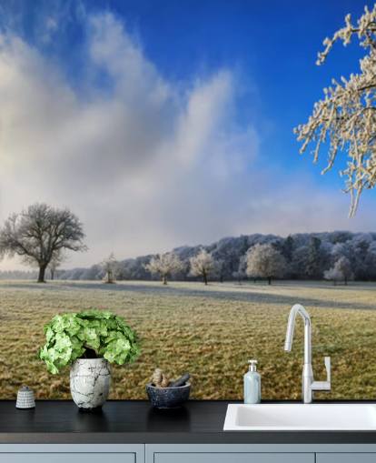 frostiga fält med vita träd tapet frostiga fält med vita träd tapet