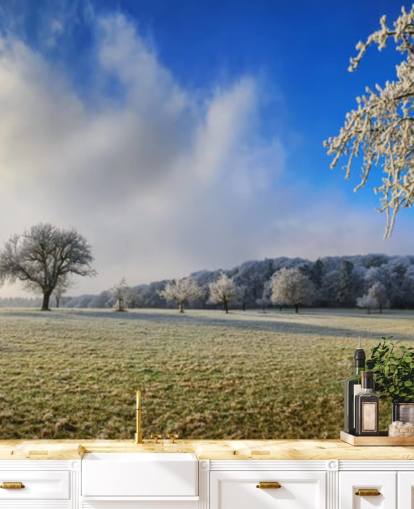 frosty field with white trees wallpaper