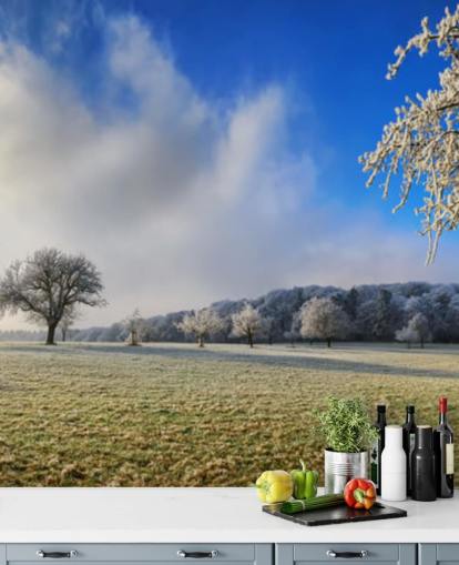 frosty field with white trees wallpaper