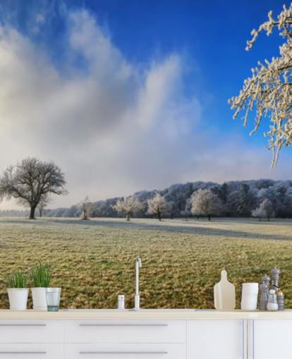 frostiges Feld mit weißen Bäumen Tapete frostiges Feld mit weißen Bäumen Tapete