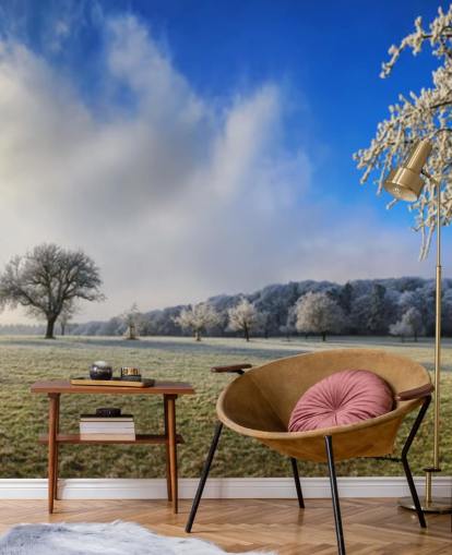 frosty field with white trees wallpaper