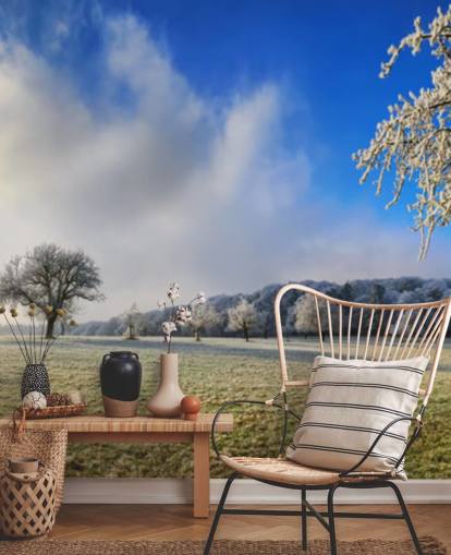 fondo de pantalla de campo escarchado con árboles blancos